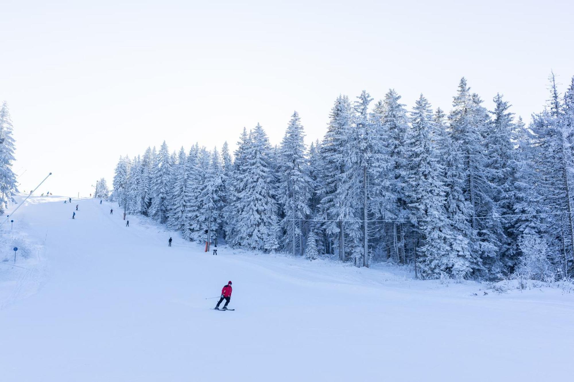 Vile M&S Kopaonik Exterior foto